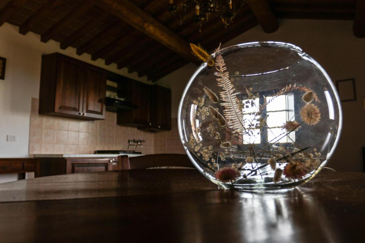 Agriturismo Bombina Montisi Ngoại thất bức ảnh